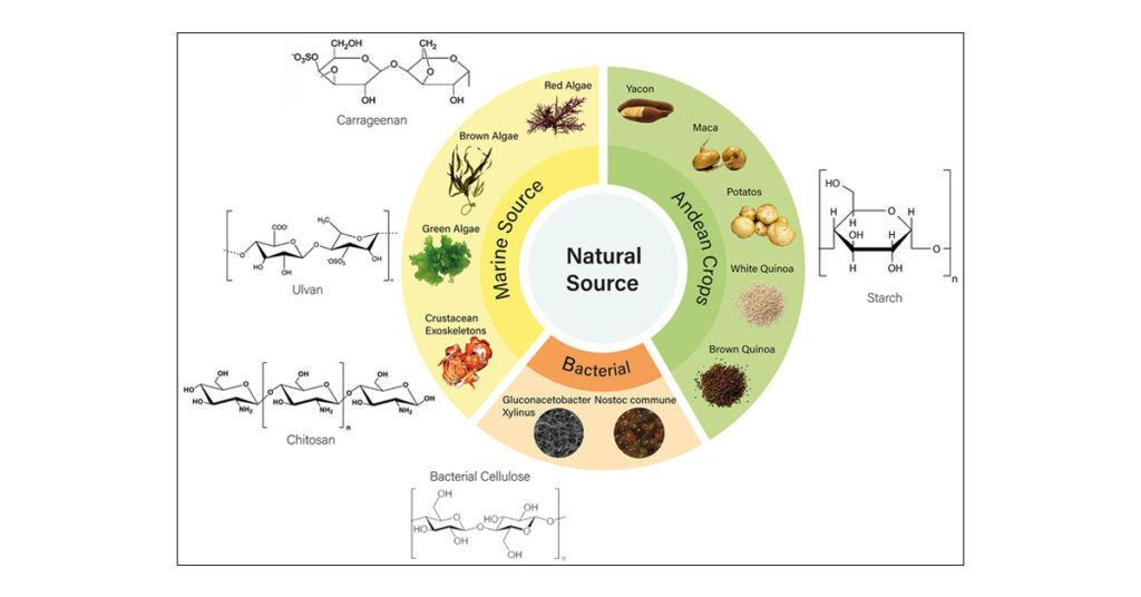 non starch polysaccharide
